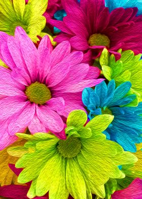 Rainbow Flowers