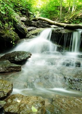 Pixley Waterfall Forest 2