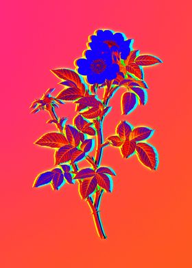 Neon Electric Blue Flower Poster By Holy Rock Design Displate