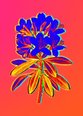 Neon Flower Drawing Poster Print By Holy Rock Design Displate