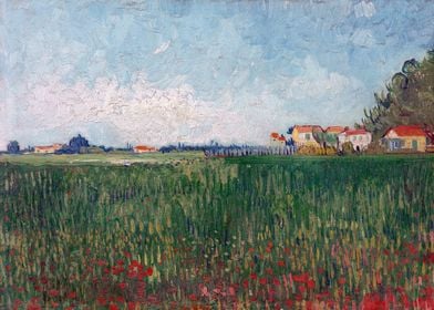 Van Gogh Field with Poppy