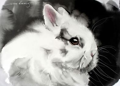 White Rabbit