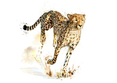 cheetahpng