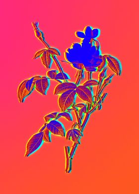 Picture Poster Art Rose Daisy Lily Framed Print Neon Electric Blue Flower 