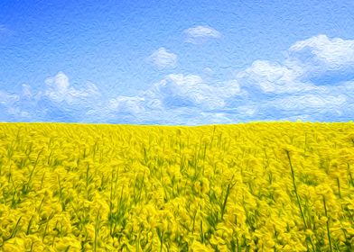 Yellow Flower Fields