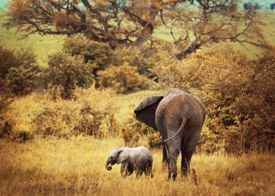 Baby and mother