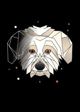 Havanese Dog Polygon Pet