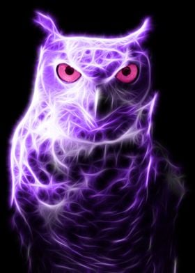 Owl Neon Violette color