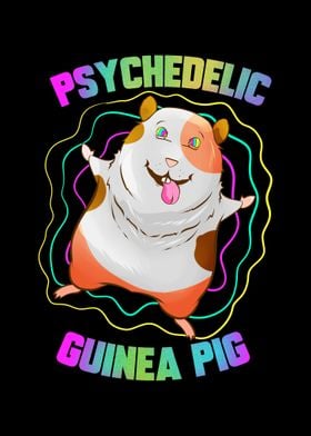 Guinea Pig EDM Party Pet