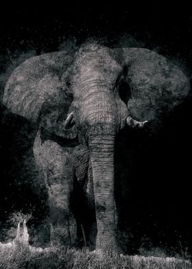 Elephants