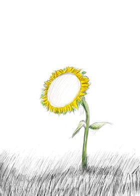 Sunflower sketch