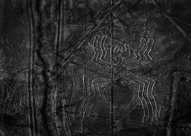 Nazca Lines Spider