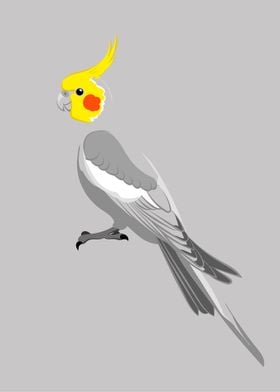 Cockatiel