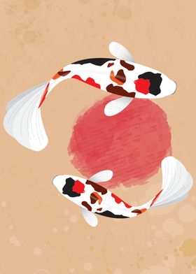 Showasansoku fish koi