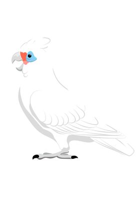 Little corella