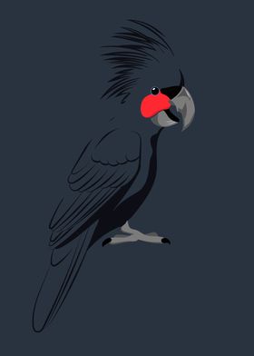 Palm Cockatoo