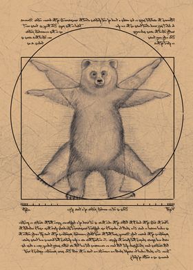 The Vitruvian Bear