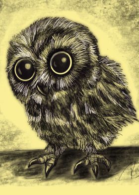 Baby Owl ink