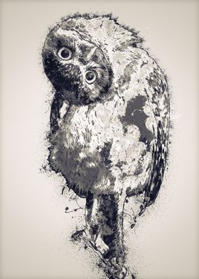 Owls in the artwork 5