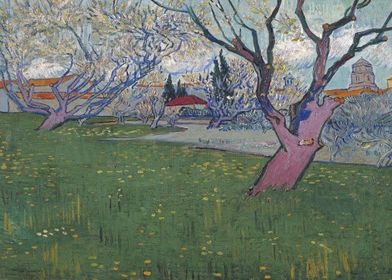 Van Gogh Orchards in Arles