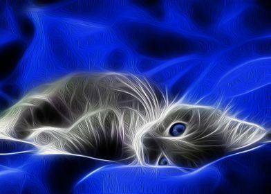 Blue Gray Kitty Cat