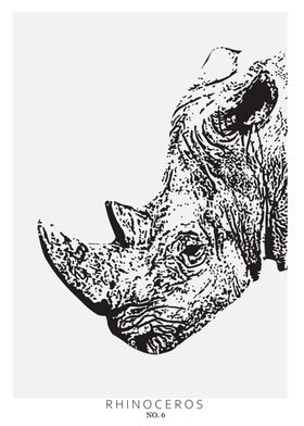 Rhinoceros head no 6