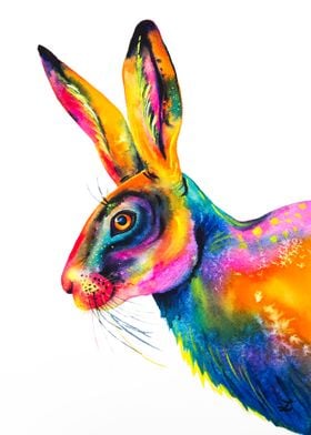 Colorful Hare 