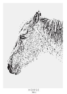 Black white Horse head no1