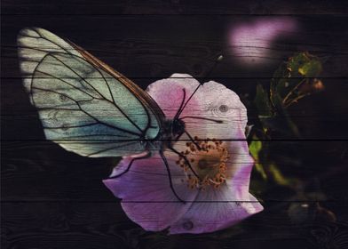 Butterfly Art