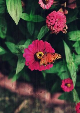 Butterfly Art