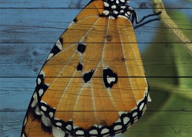 Butterfly Art