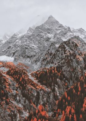 mountain and snow