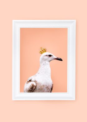 Royal Seagull