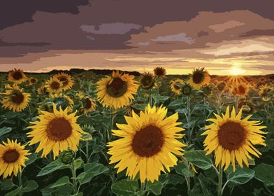 Sunflowers