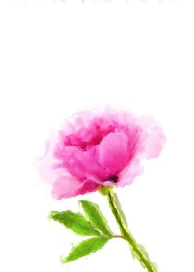 Beautiful Watercolor peony