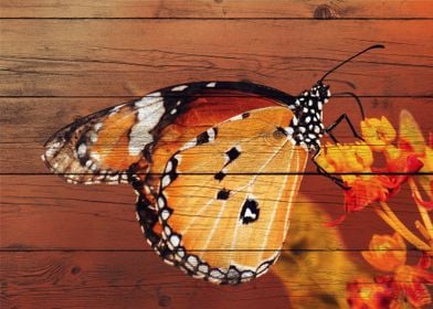 Butterfly Art