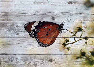 Butterfly Art