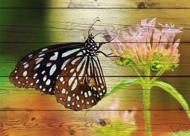 Butterfly Art