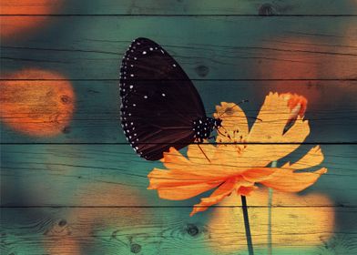 Butterfly Art