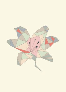 Geometrical flower