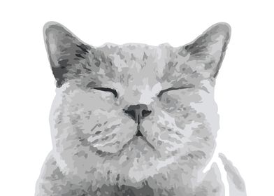 Animal Cat Grey Poster