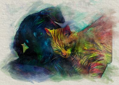 Colorful Cat and Dog