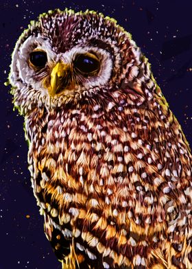 Owls in the artwork 13