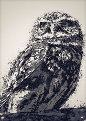 Owls in the artwork 11