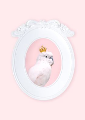 Royal Cockatoo