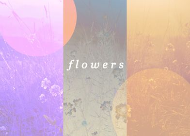 Flowers