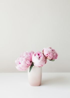 Pink Peonies 07