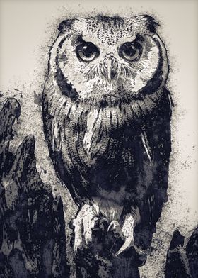 Owls in the artwork 31