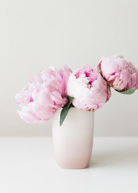 Pink Peonies 06