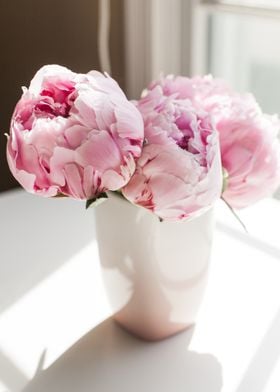 Pink Peonies 02